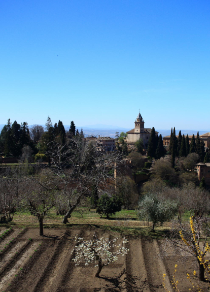 Arbres florits, camps verds i bon temps...ja és aquí la primavera!