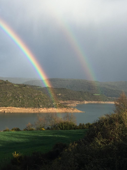 Arbres florits, camps verds i bon temps...ja és aquí la primavera!