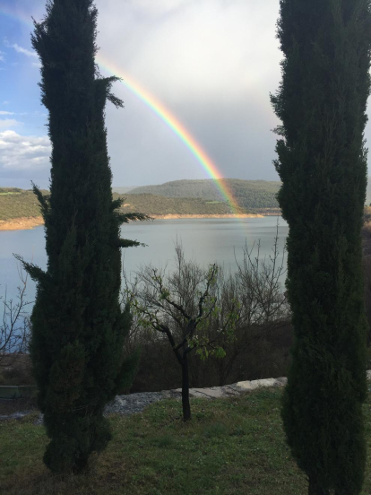 Arbres florits, camps verds i bon temps...ja és aquí la primavera!