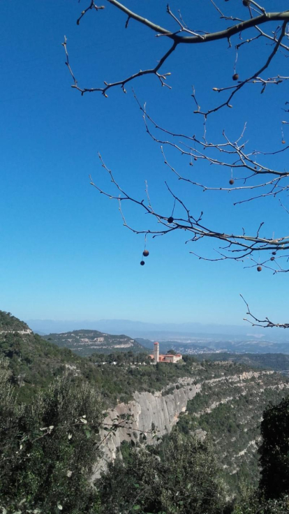 Arbres florits, camps verds i bon temps...ja és aquí la primavera!