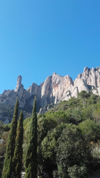 Arbres florits, camps verds i bon temps...ja és aquí la primavera!