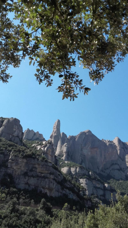 Arbres florits, camps verds i bon temps...ja és aquí la primavera!