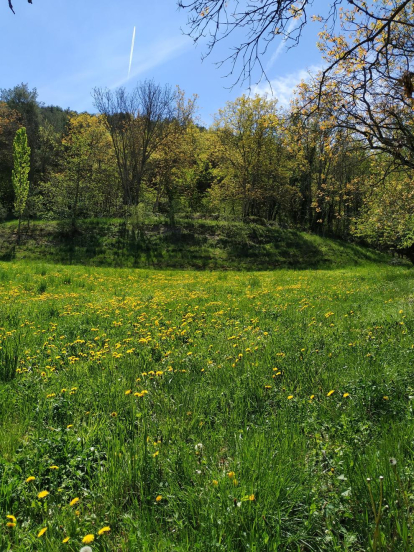 Arbres florits, camps verds i bon temps...ja és aquí la primavera!