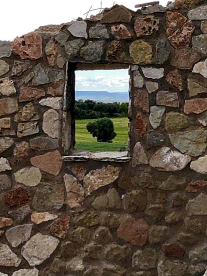 Arbres florits, camps verds i bon temps...ja és aquí la primavera!