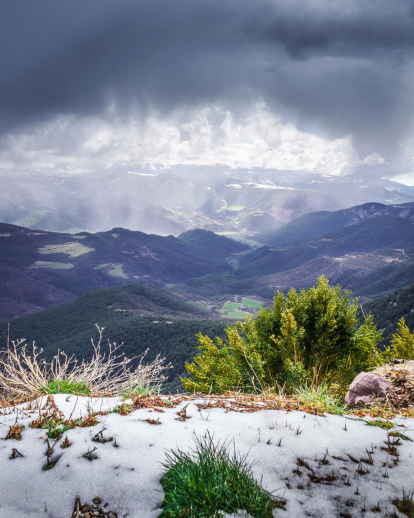 Arbres florits, camps verds i bon temps...ja és aquí la primavera!