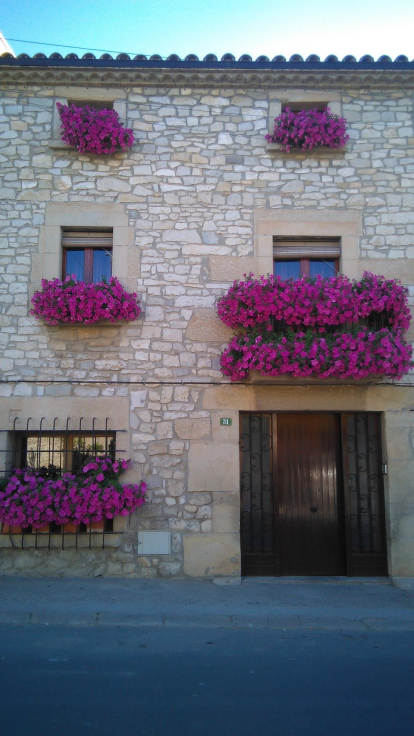 Arbres florits, camps verds i bon temps...ja és aquí la primavera!