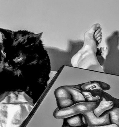 cada nit és un relax , la companyia d'un llibre i el meu gat acompanyant l'arribada de la són