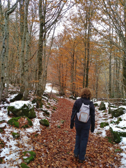 Les fulles cauen, arriba la boira i comença a fer fred.