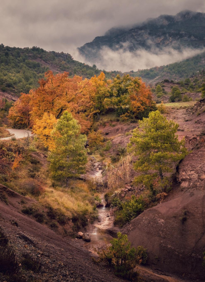 En mig dels jaciments de niuades de dinosaures en un paissatge espectacular de Coll de Nargó