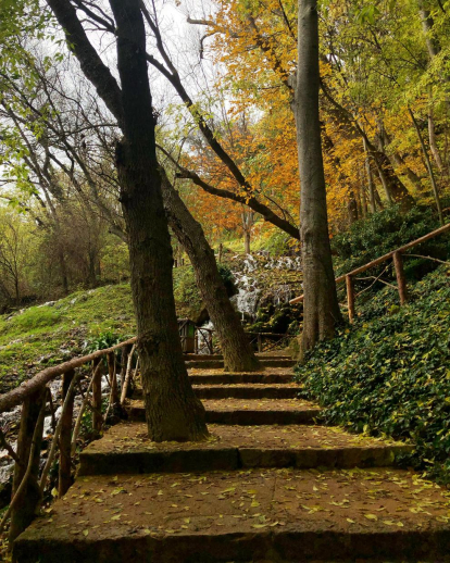 Tardor al Monasterio de Piedra