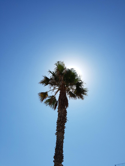 12a edició del concurs de fotos de vacances d'estiu