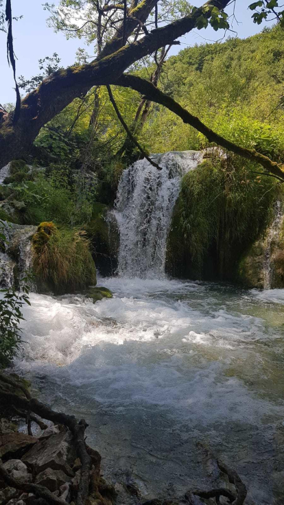 12a edició del concurs de fotos de vacances d'estiu