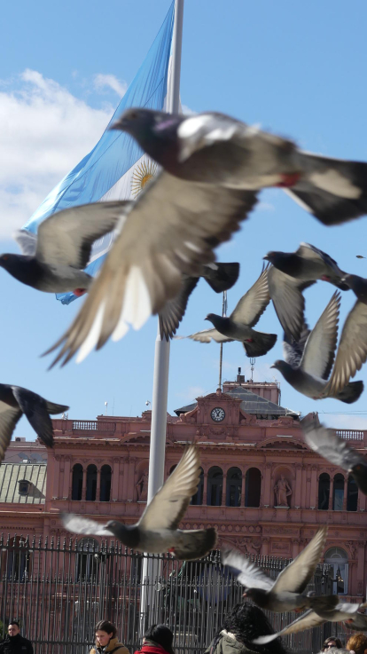 Una mica de pau per la casa rosada a Buenos Aires.