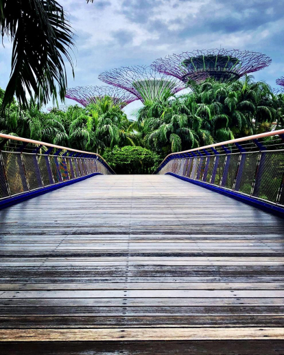 12a edició del concurs de fotos de vacances d'estiu