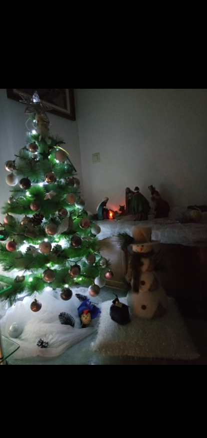 Decoració del arbre que ens acompanyara a tots els àpats d'aquestes festes!!⛄Bones Festes!!