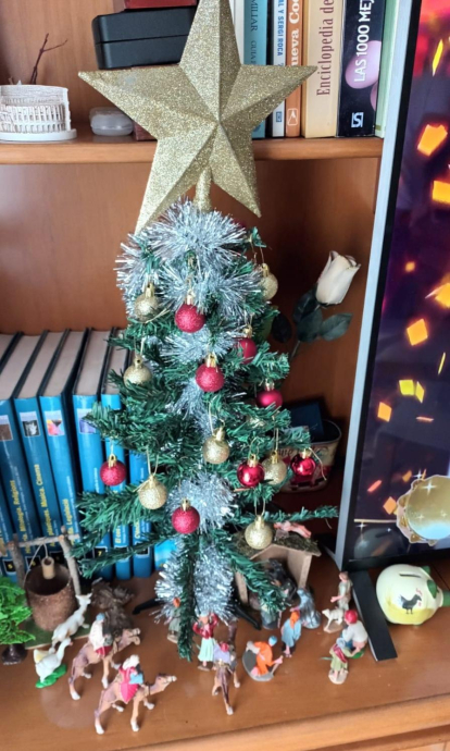 El balcón, el pesebre, el árbol, el centro de mesa...envíanos fotos de tu decoración navideña