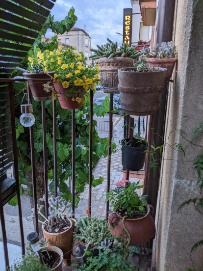 Aquest és el nostre balcó on cap de tot, menys nosaltres. Hi ha julivert, alfàbrega, timonets, gessamí, cactus i plantes crasses... sempre podem fer un raconet per qualsevol mateta que arribi a les nostres mans...