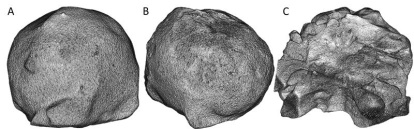 Aquesta nova metodologia de treball proporciona detalls científics clau sobre com es formen i evolucionen aquestes pedres a partir de les seves capes internes.