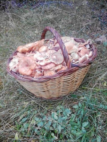 Entre totes les fotos rebudes sortejarem un cap de setmana per a dos persones a l'Hotel Can Boix de Peramola (estada de 2 nits, de dilluns a diumenge, per a dos persones i en règim de mitja pensió. Amb reserva prèvia i subjecte a disponibilitat de l'Hotel).