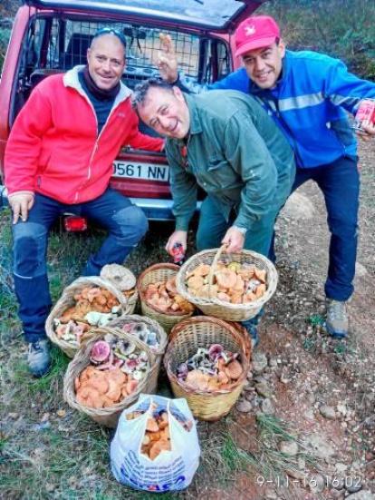 Envia'ns fotos de les teves excursions al bosc i demostra'ns que ets un gran boletaire