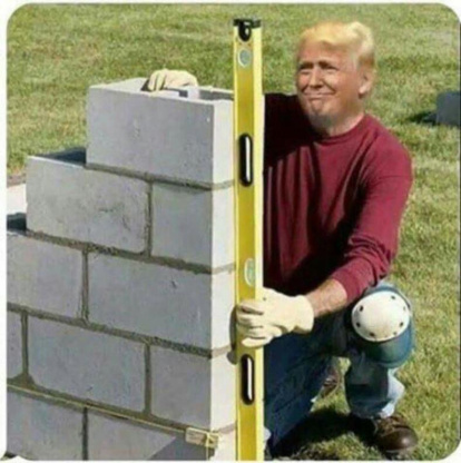 Els memes de la victòria de Donald Trump