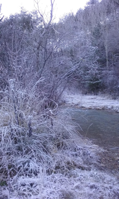 El fred, la boira i la neu...l'hivern ja és aquí!