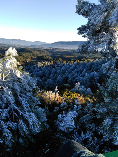 El fred, la boira i la neu...l'hivern ja és aquí!