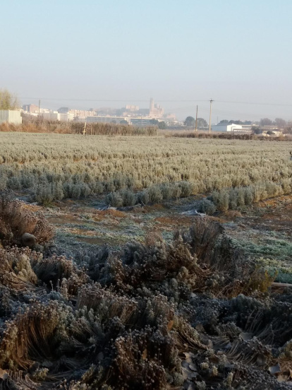 El fred, la boira i la neu...l'hivern ja és aquí!