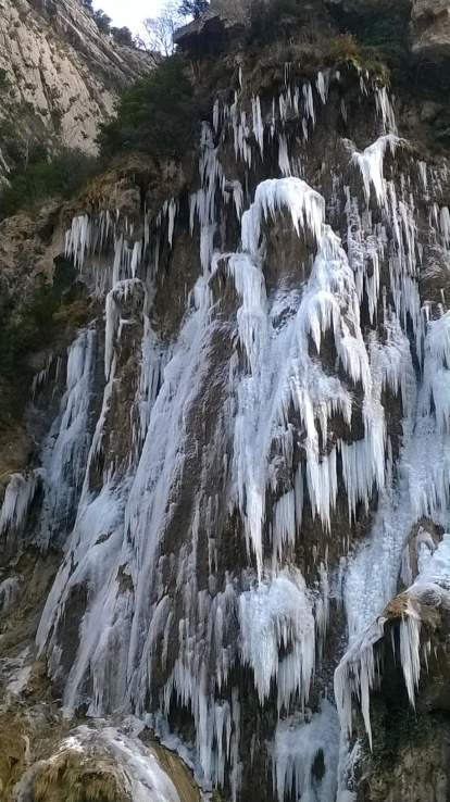 El fred, la boira i la neu...l'hivern ja és aquí!