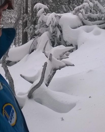 El fred, la boira i la neu...l'hivern ja és aquí!
