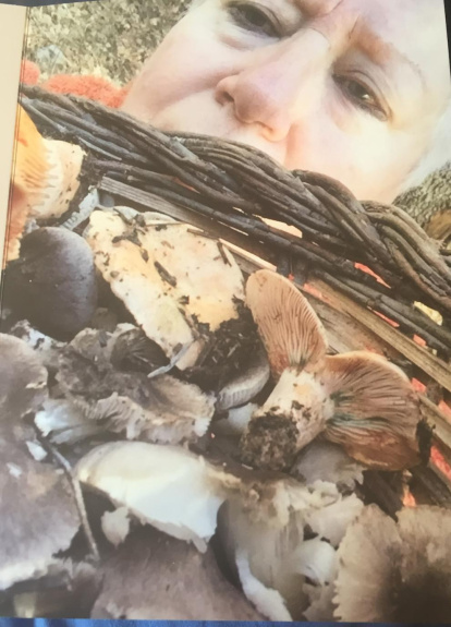 Rovellons, ceps, fredolics,...envia'ns fotos de la teva sortida al bosc.