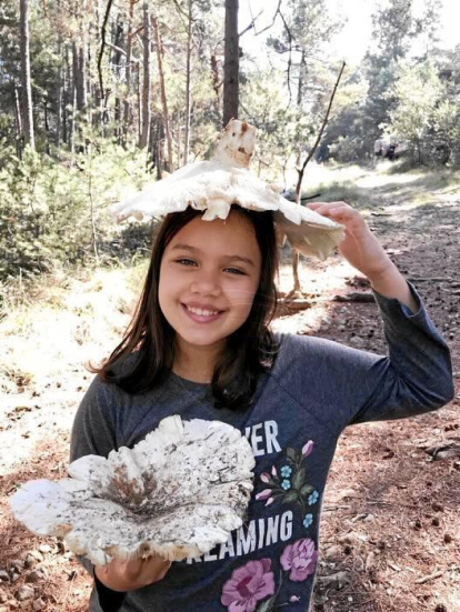 Rovellons, ceps, fredolics,...envia'ns fotos de la teva sortida al bosc.