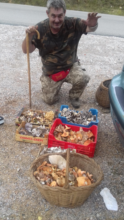 Rovellons, ceps, fredolics,...envia'ns fotos de la teva sortida al bosc.