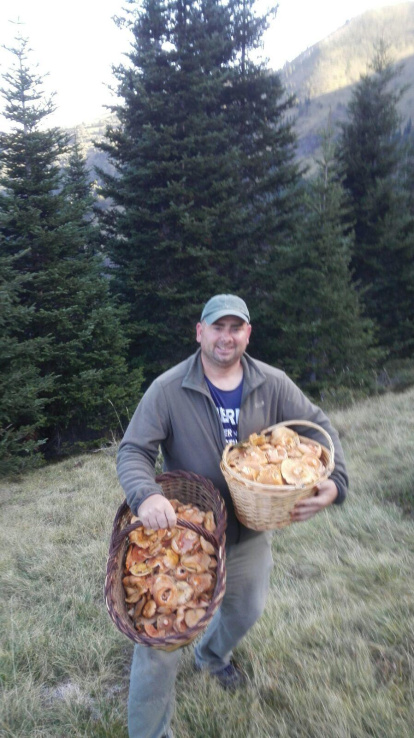 Rovellons, ceps, fredolics,...envia'ns fotos de la teva sortida al bosc.