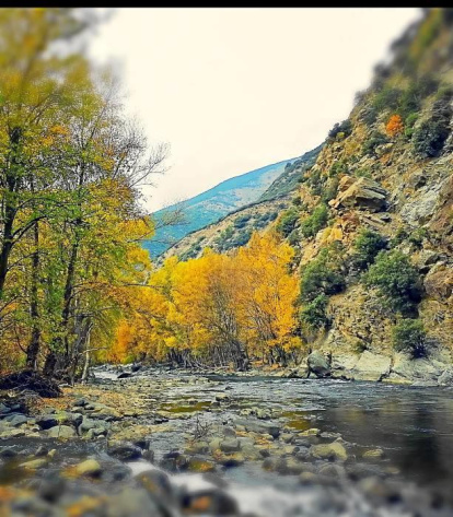 Les fulles cauen, arriba la boira i comença a fer fred.