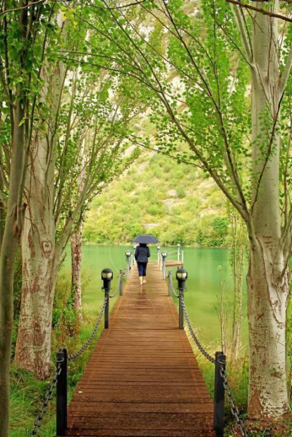 Les fulles cauen, arriba la boira i comença a fer fred.