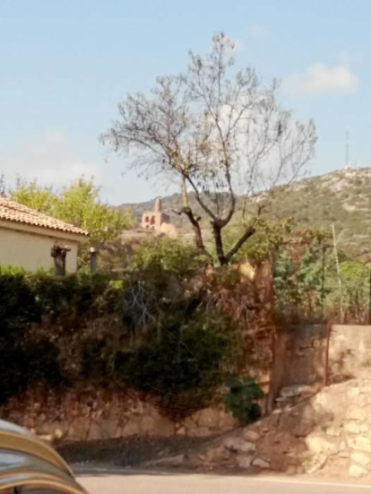 Les fulles cauen, arriba la boira i comença a fer fred.