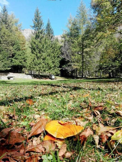 Les fulles cauen, arriba la boira i comença a fer fred.