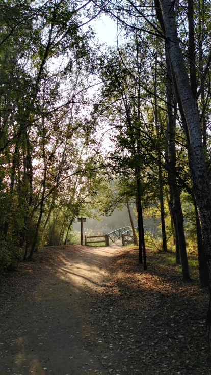 Les fulles cauen, arriba la boira i comença a fer fred.