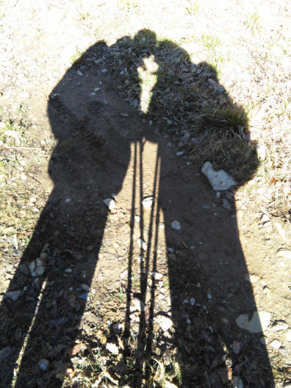 El concurs de Cercle per Sant Jordi.