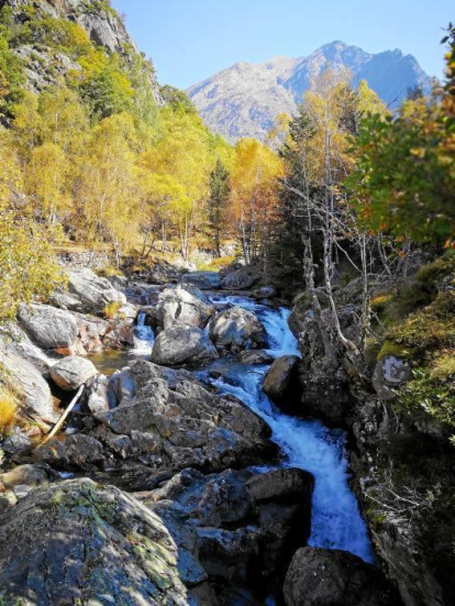 Les fulles cauen, arriba la boira i comença a fer fred.