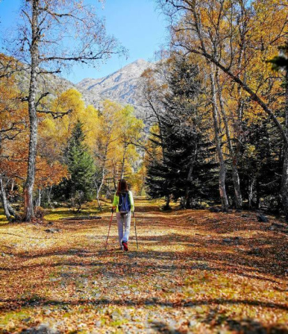 Les fulles cauen, arriba la boira i comença a fer fred.
