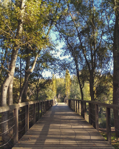 Paula Mallada Farreny