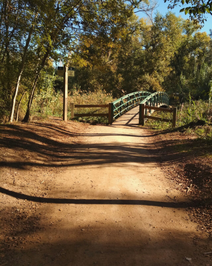 Paula Mallada Farreny