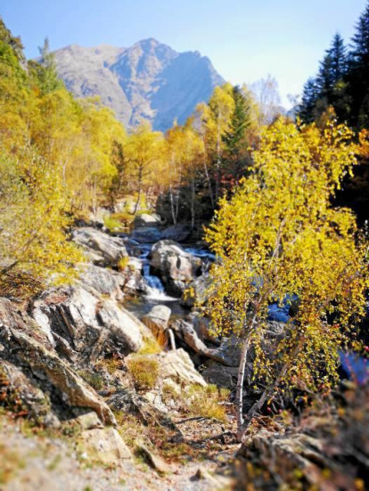 Les fulles cauen, arriba la boira i comença a fer fred.