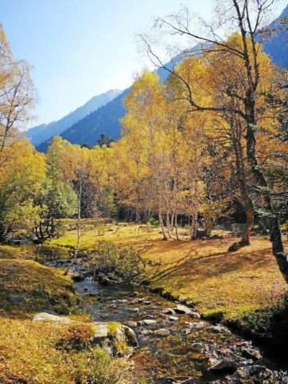 Les fulles cauen, arriba la boira i comença a fer fred.