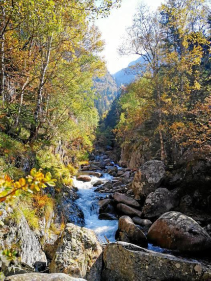Les fulles cauen, arriba la boira i comença a fer fred.
