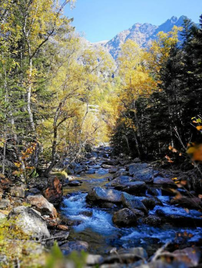 Les fulles cauen, arriba la boira i comença a fer fred.