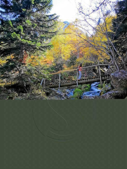 Les fulles cauen, arriba la boira i comença a fer fred.