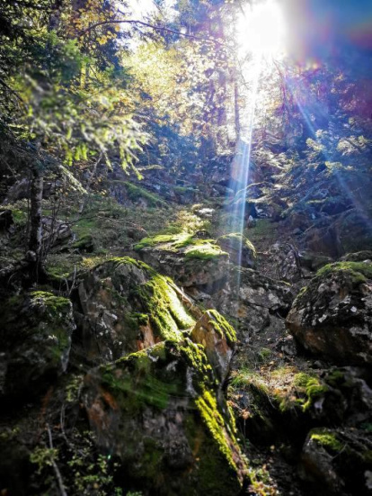 Les fulles cauen, arriba la boira i comença a fer fred.